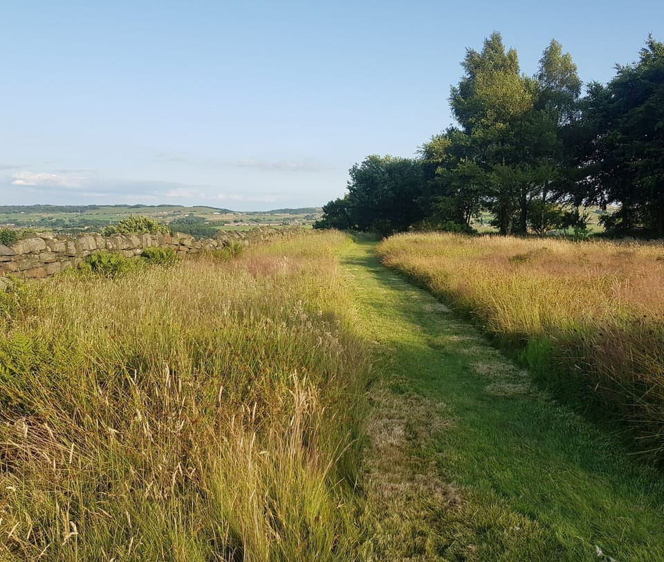 This is our wild garden, directly accessed from the cottage. 