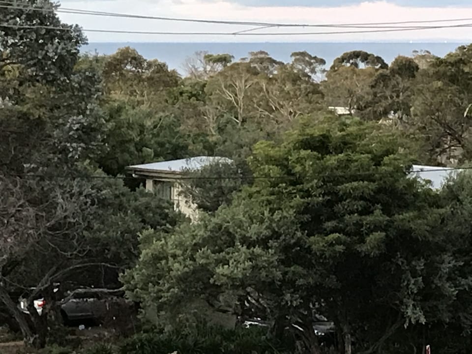 View from Balcony