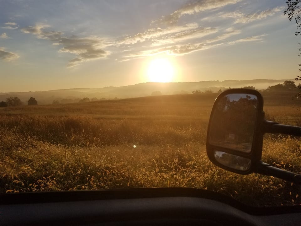 Drive to Cabin view.