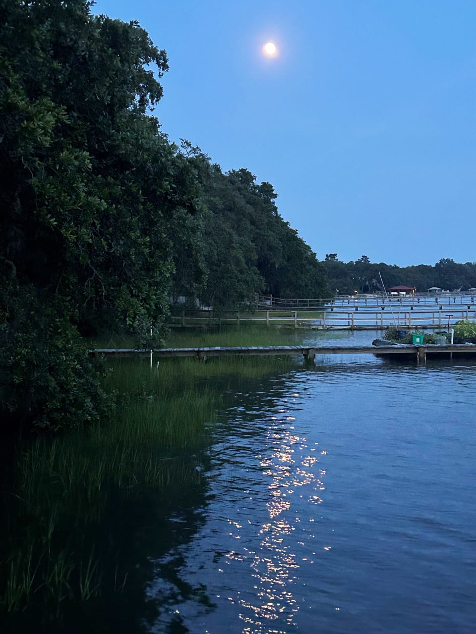 Moon rising over Stono River