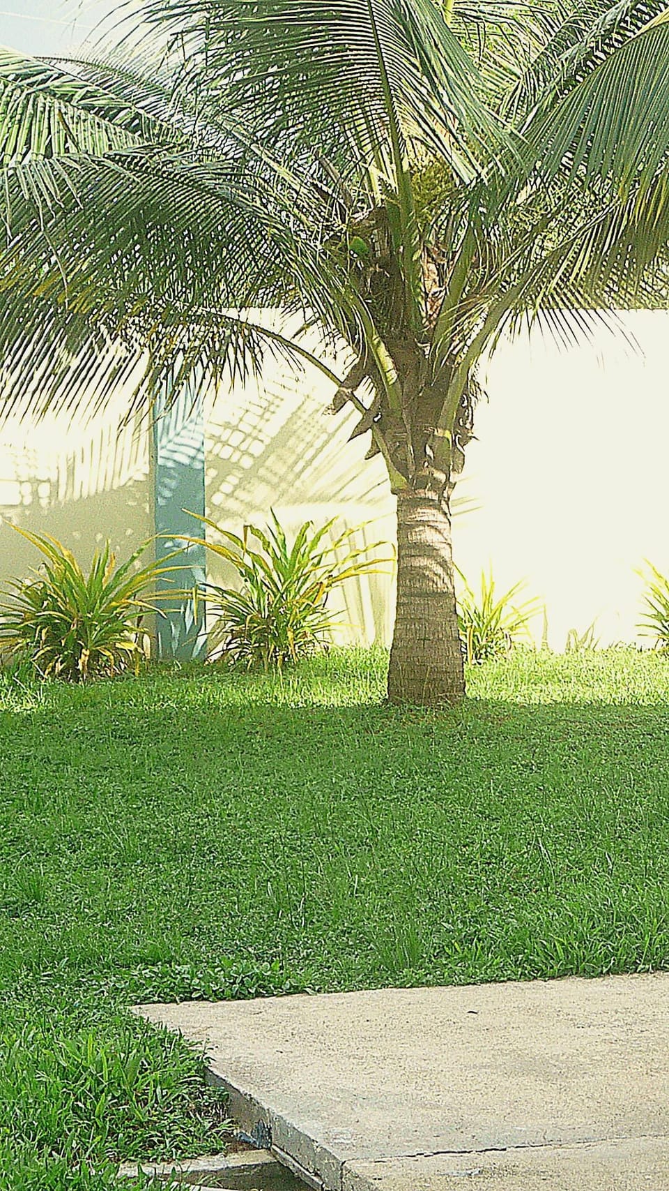 Green Area