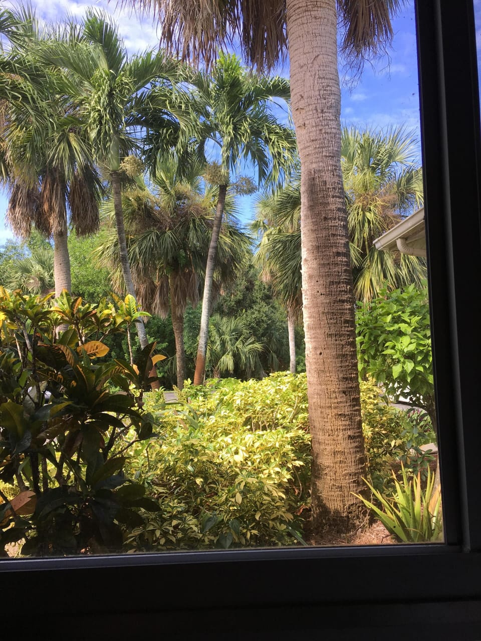 2nd bedroom window view