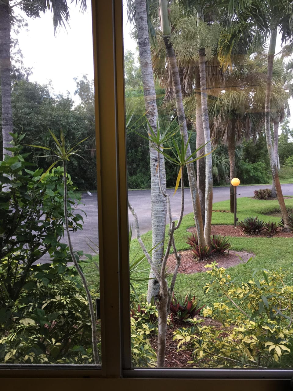 Kitchen window view