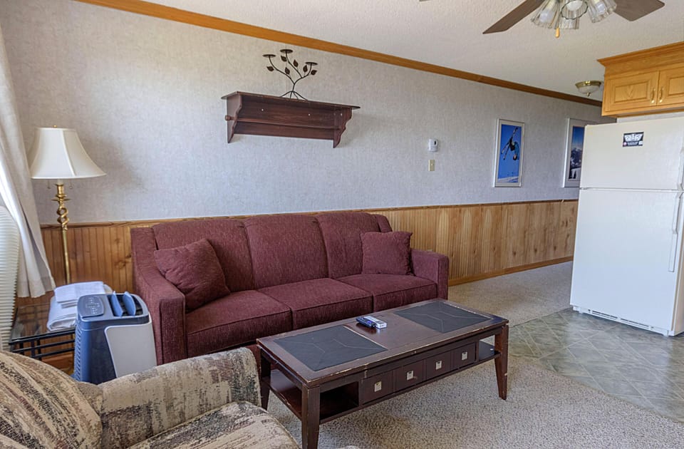 The living room has a sofa bed that accommodate two additional people.