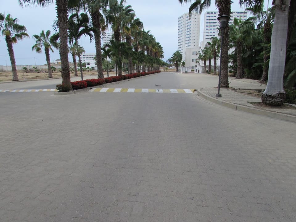 road to the apartment 