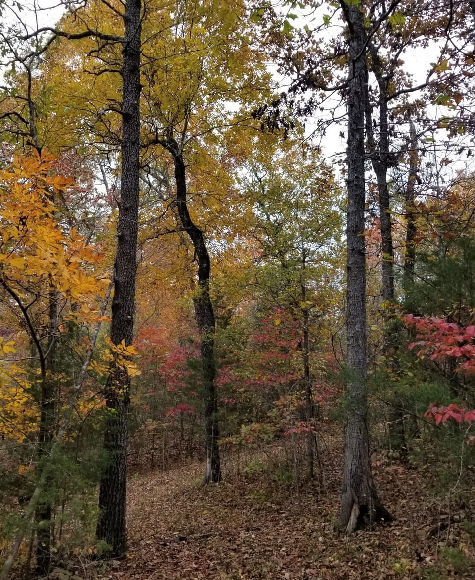 There's beauty around every bend.