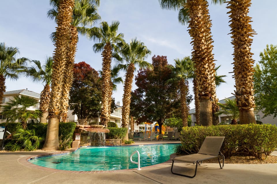 Gorgeous Las Palmas pool