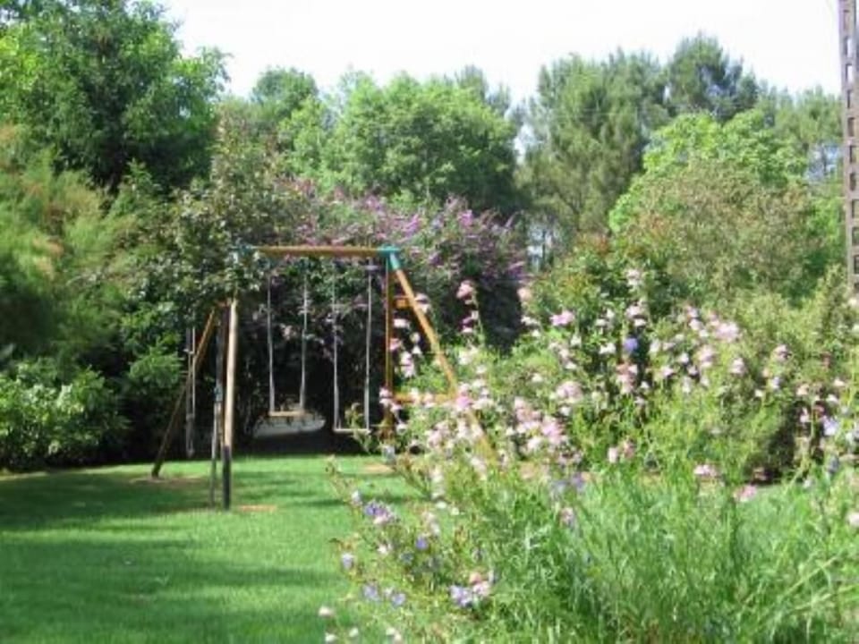 Garden, Park