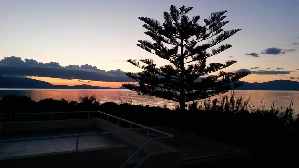 view from roof  terrace 