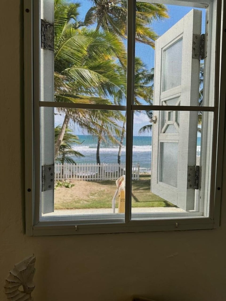 View from your dinning area window