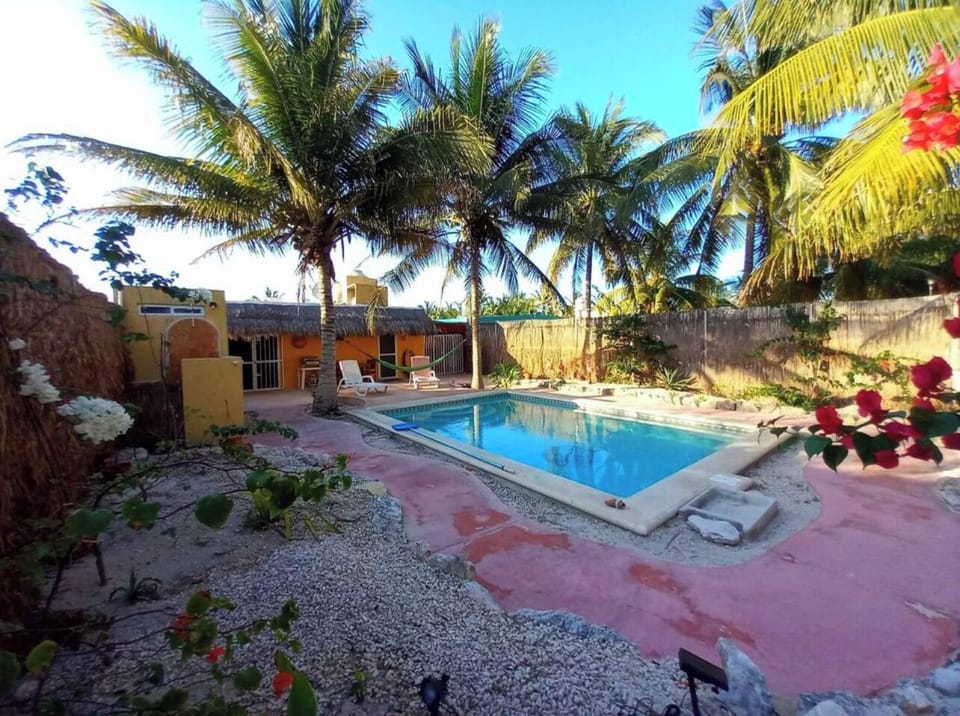 Very spacious backyard features 4m x 6m filtered pool and lush tropical garden.