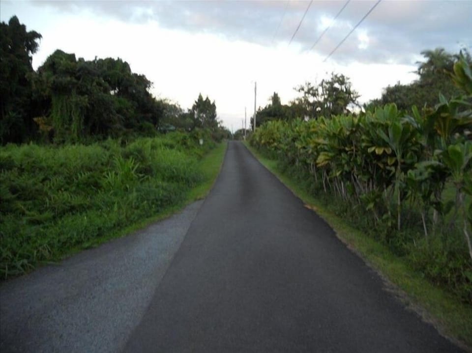 Looking down our quiet road, Enoka Place, toward the ocean.
