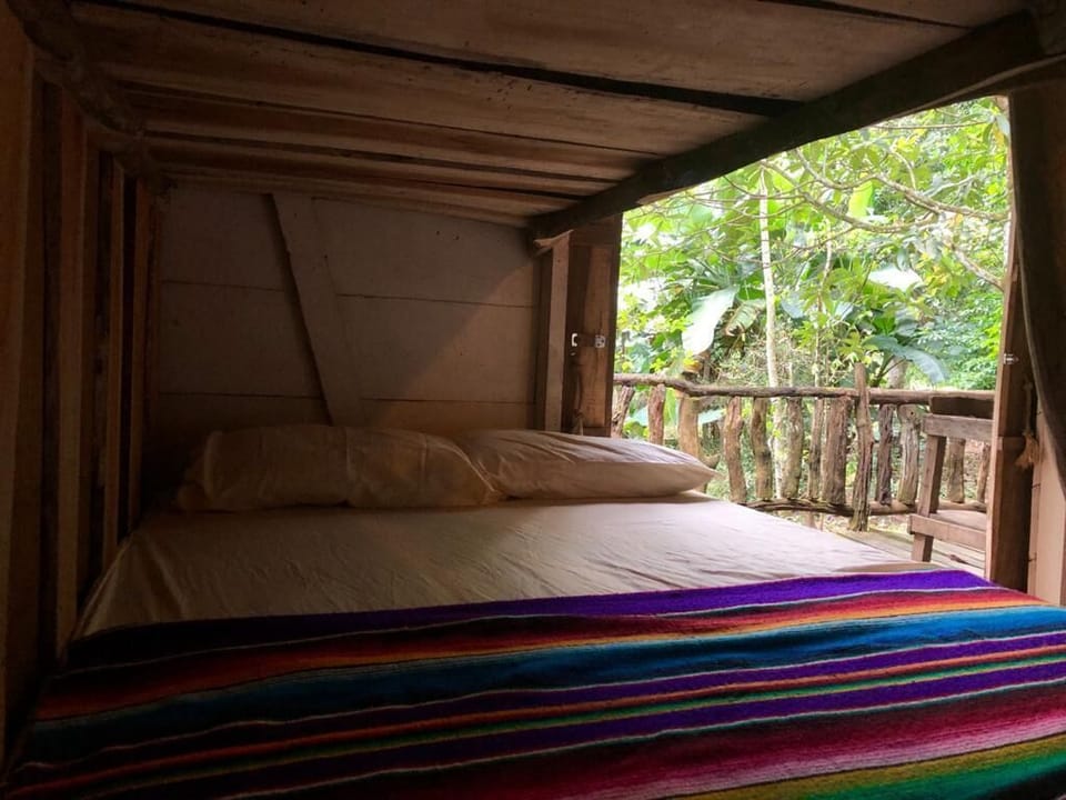 Spacious, comfortable and peaceful, surrounded by Costa Rica's natural world.