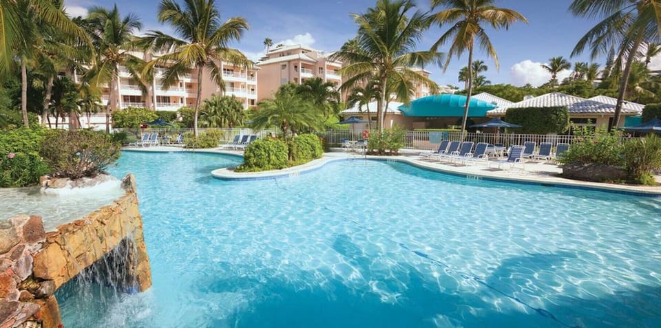 Resort-style pool surrounded by lush tropical landscaping
