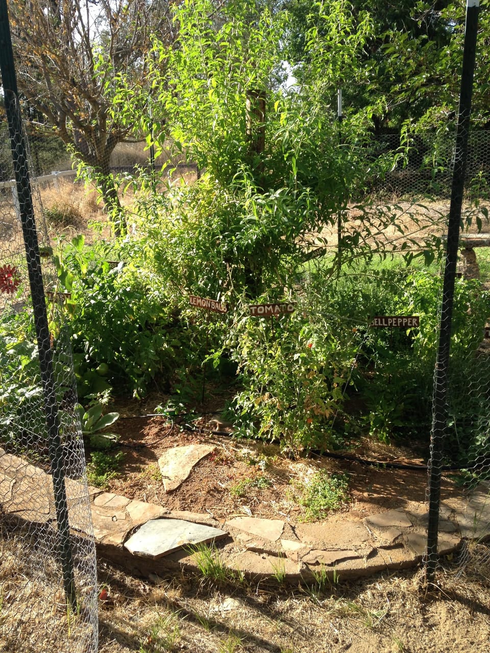 Herb Garden