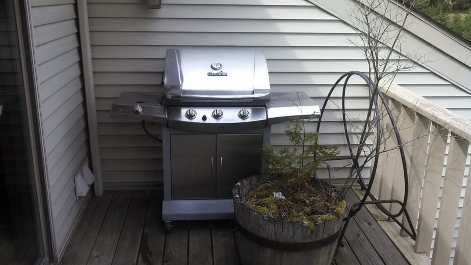 Great Grill for Steaks Hot dogs!