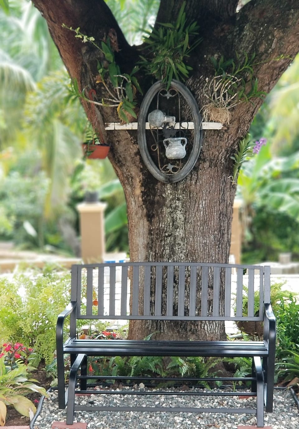 Chill Spot 