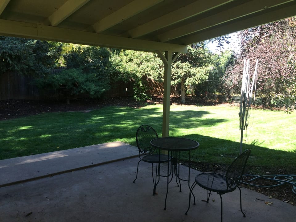 View of backyard. Fenced-in and dog friendly.