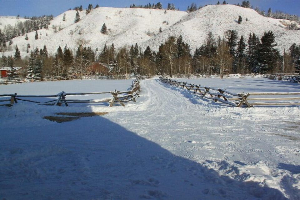 Driveway in snow