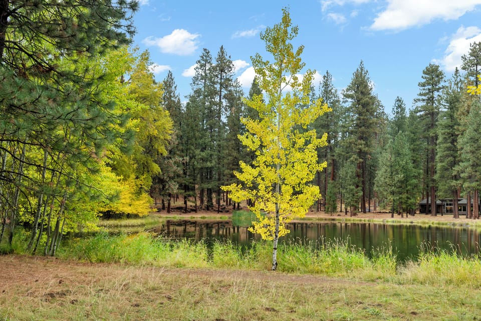 Aspen Lake