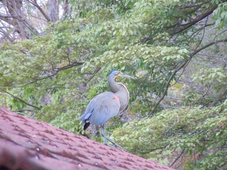 Birds eye view from our roof