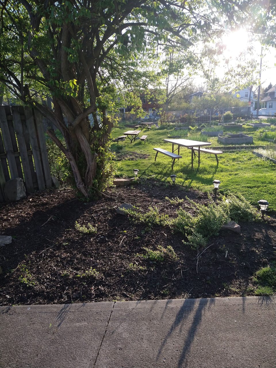 community garden next to garage