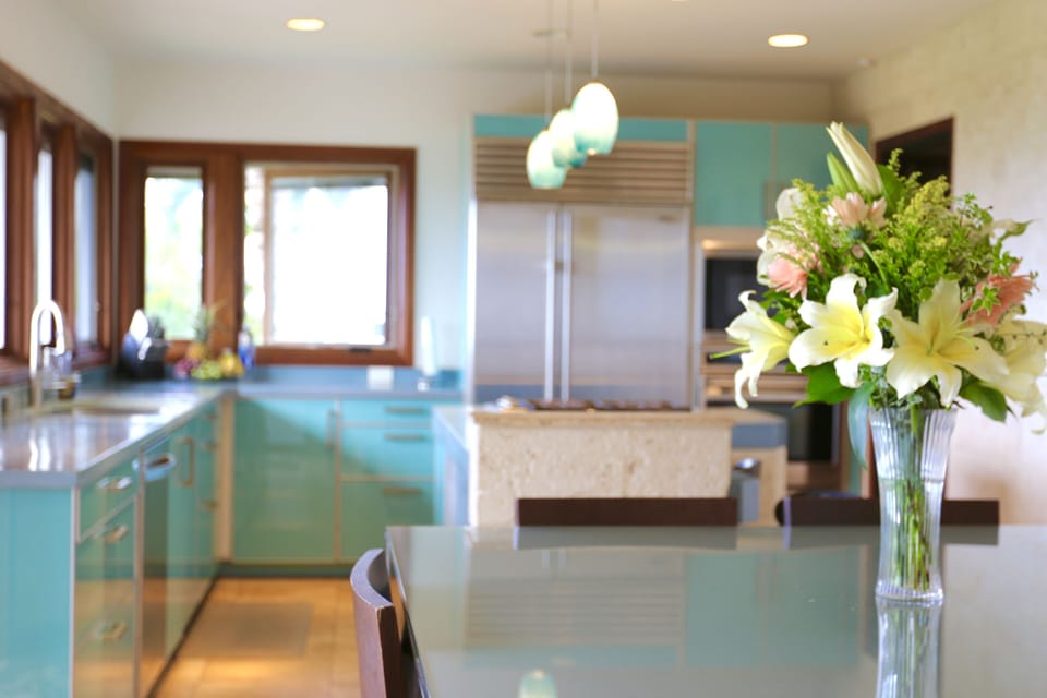 Panoramic Ocean view Kitchen 
& Top of the line kitchen amenities.