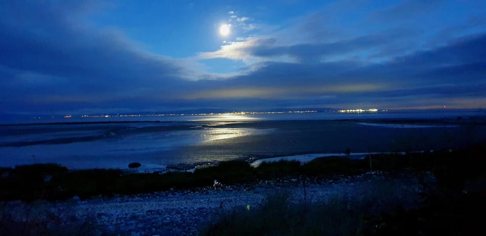 The moon shines over the bay