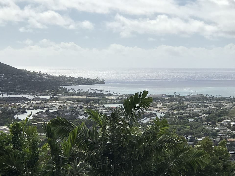 Ocean View From Cottage