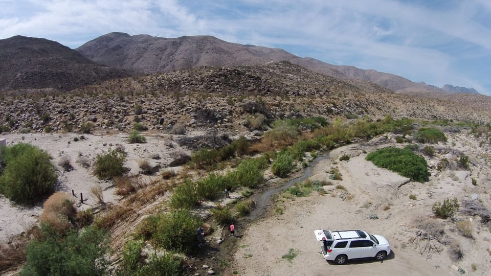 Spring in Coyote Canyon.