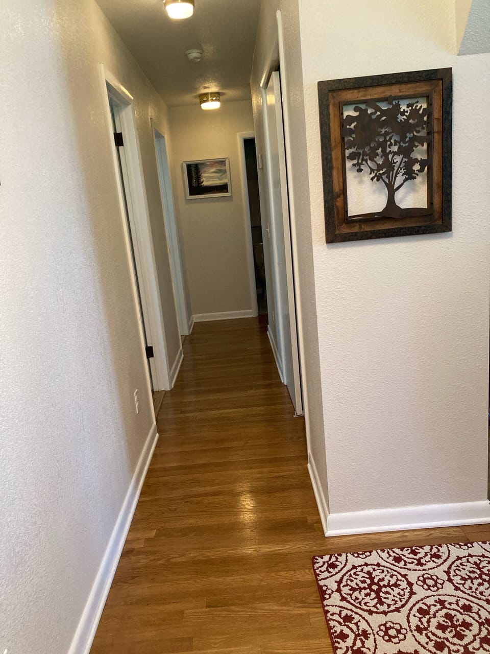 Hall view as you enter the house