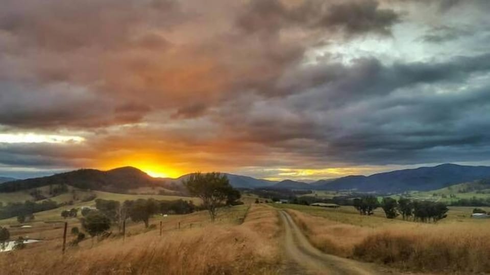 Sunset down Dam It driveway
