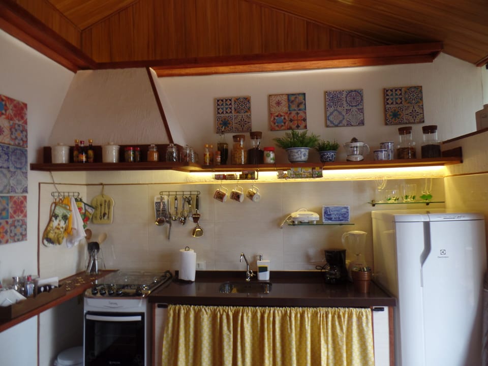 fully equipped kitchen with all modern appliances
