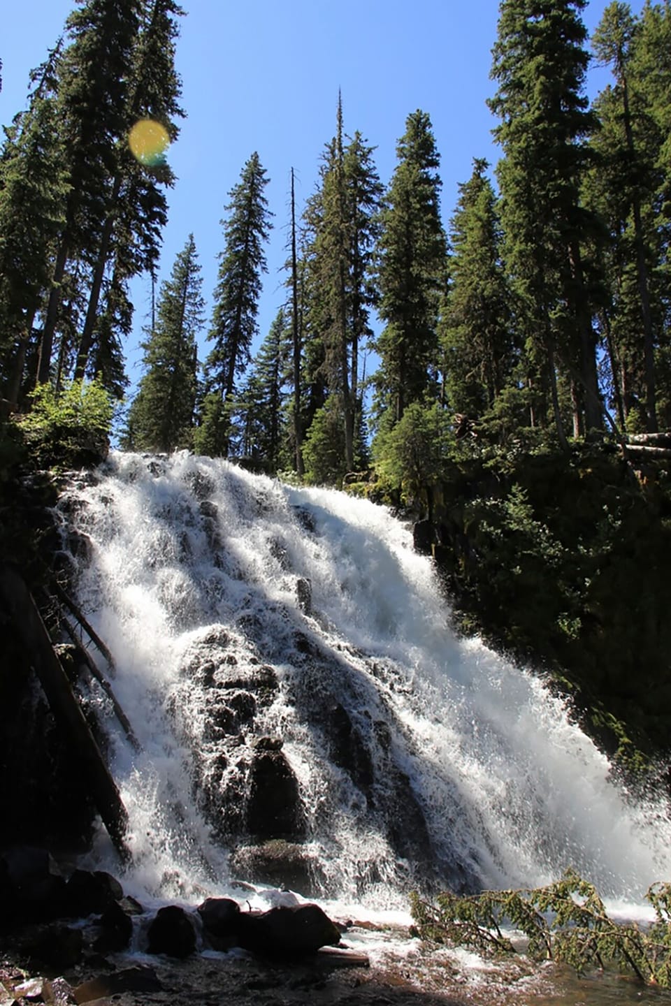 Many places to hike and camp in the Bozeman area.