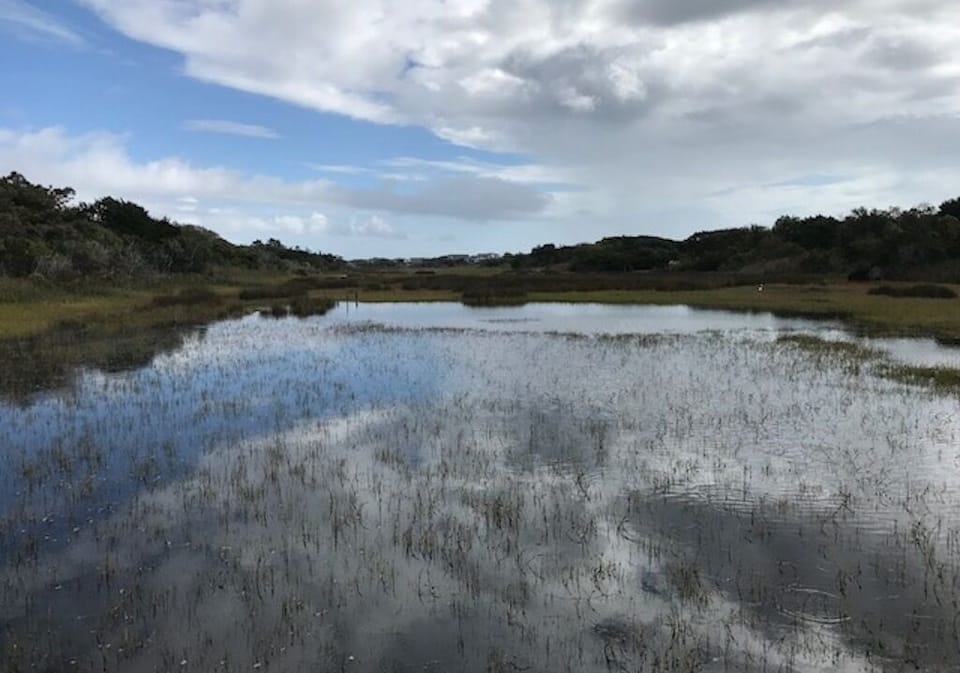 A lovely marsh view on an evening walk