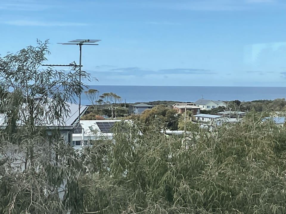 View from sunroom 