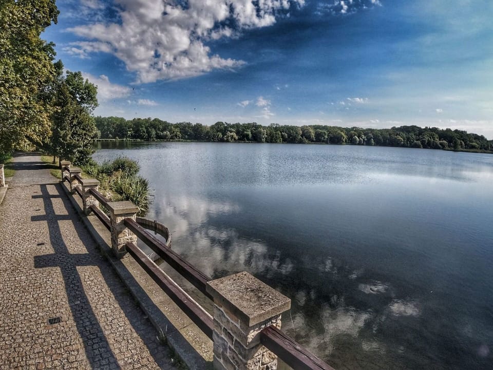 Cloud, Water, Sky, Water Resources, Plant, Daytime, Nature, Azure, Natural Environment, Tree