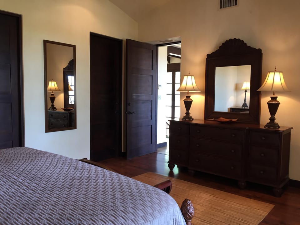 Master bedroom - walk-in closet