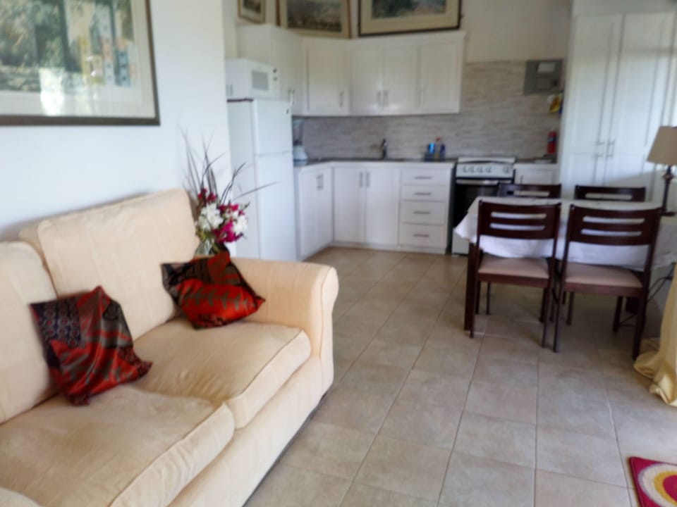 Open plan living, dining and kitchen