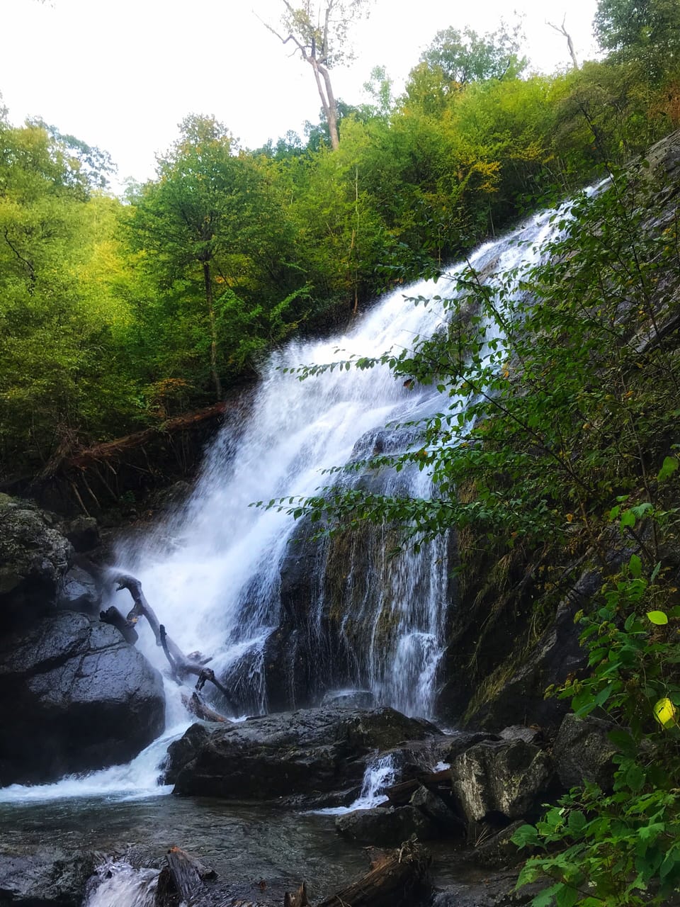 Crabtree Falls is only 1/2 mile from The Cabins at Crabtree Falls! 