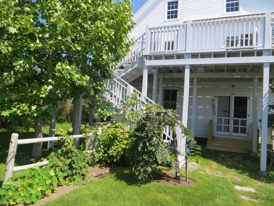 Deck and Stairway