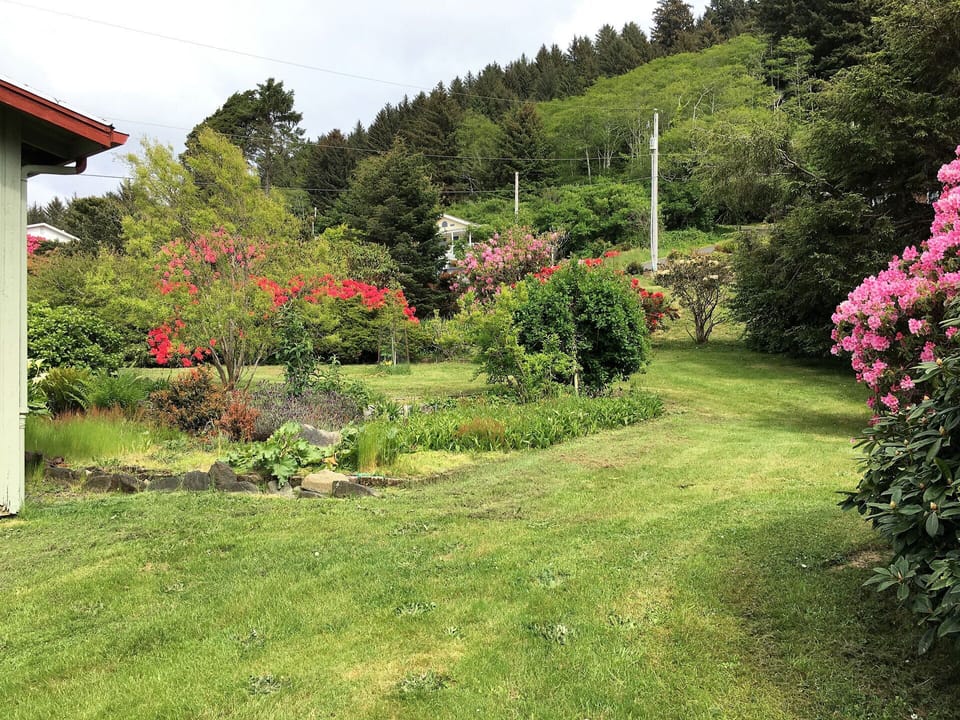 Landscaped backyard.
