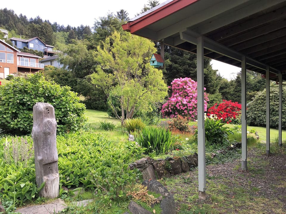 Carport and backyard.
