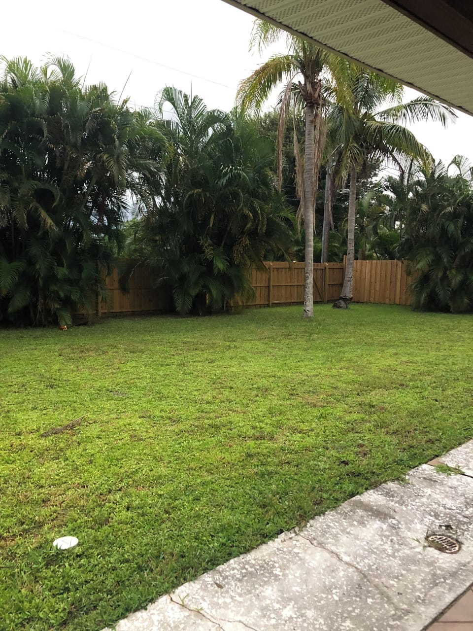 Fenced in yard