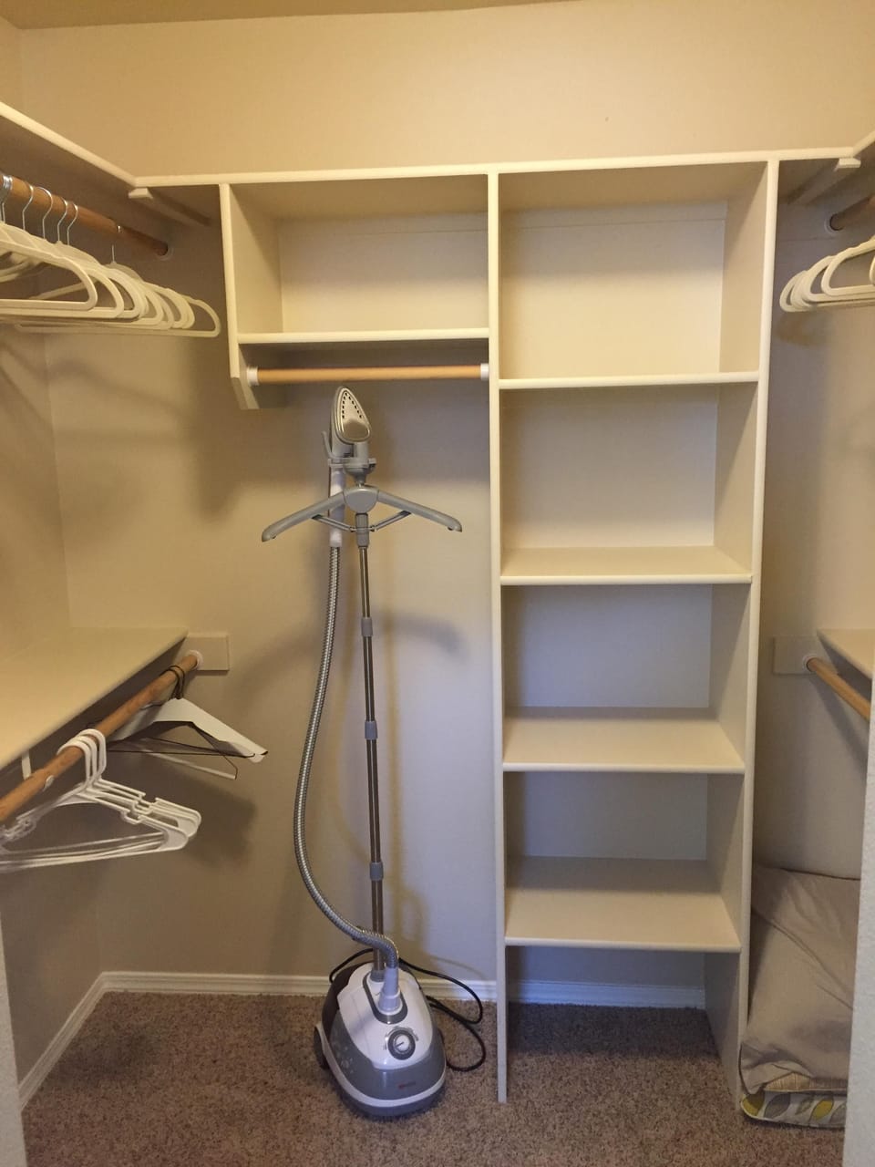 Master Closet with clothes steamer and iron