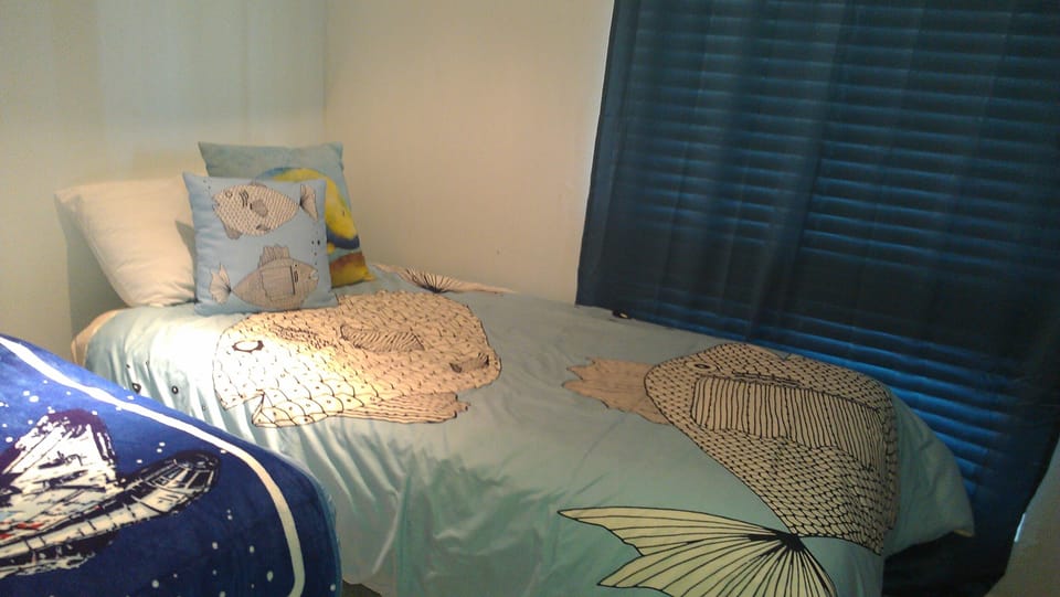 Bedroom #3 - second twin