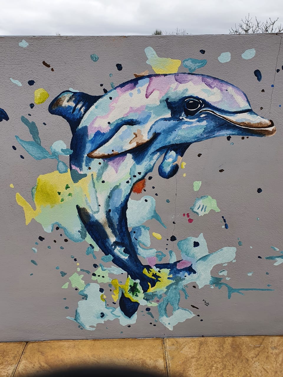 New dolphin painting on wall near pool. 26/1/22.