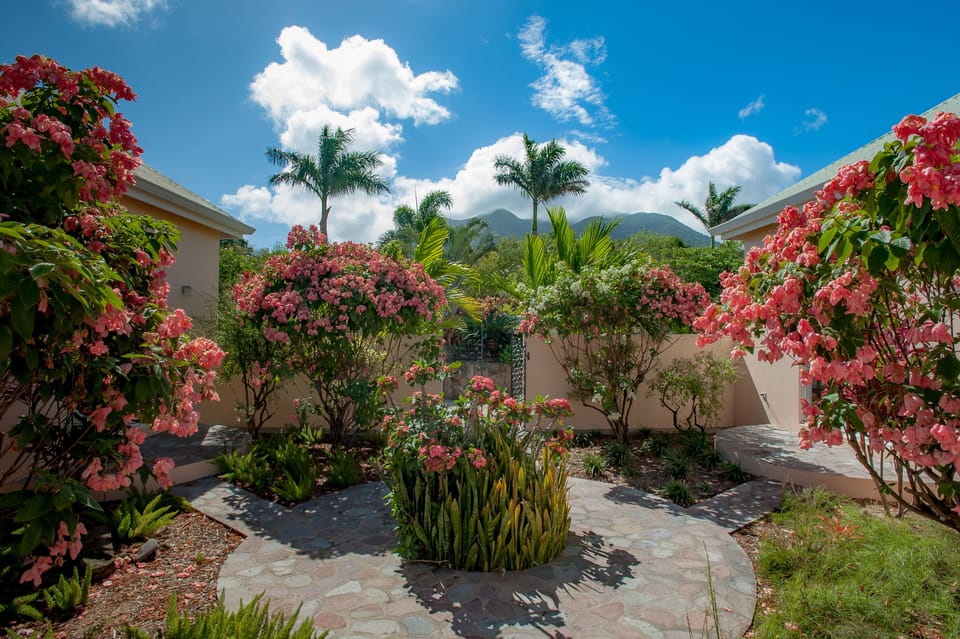 View of the Nevis peak from the front terrace