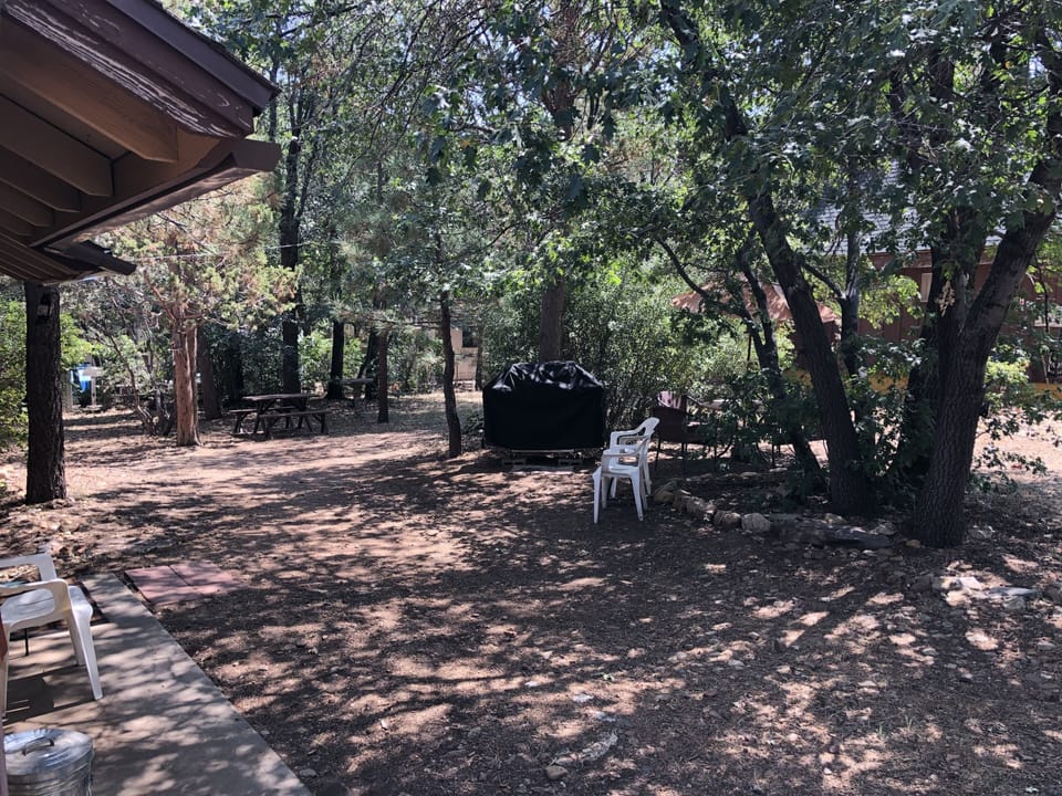 Backyard of Cabin