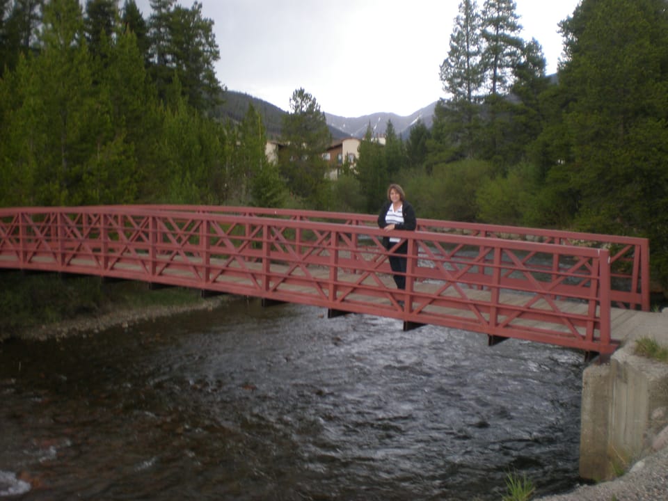 Bridge over Snake River.